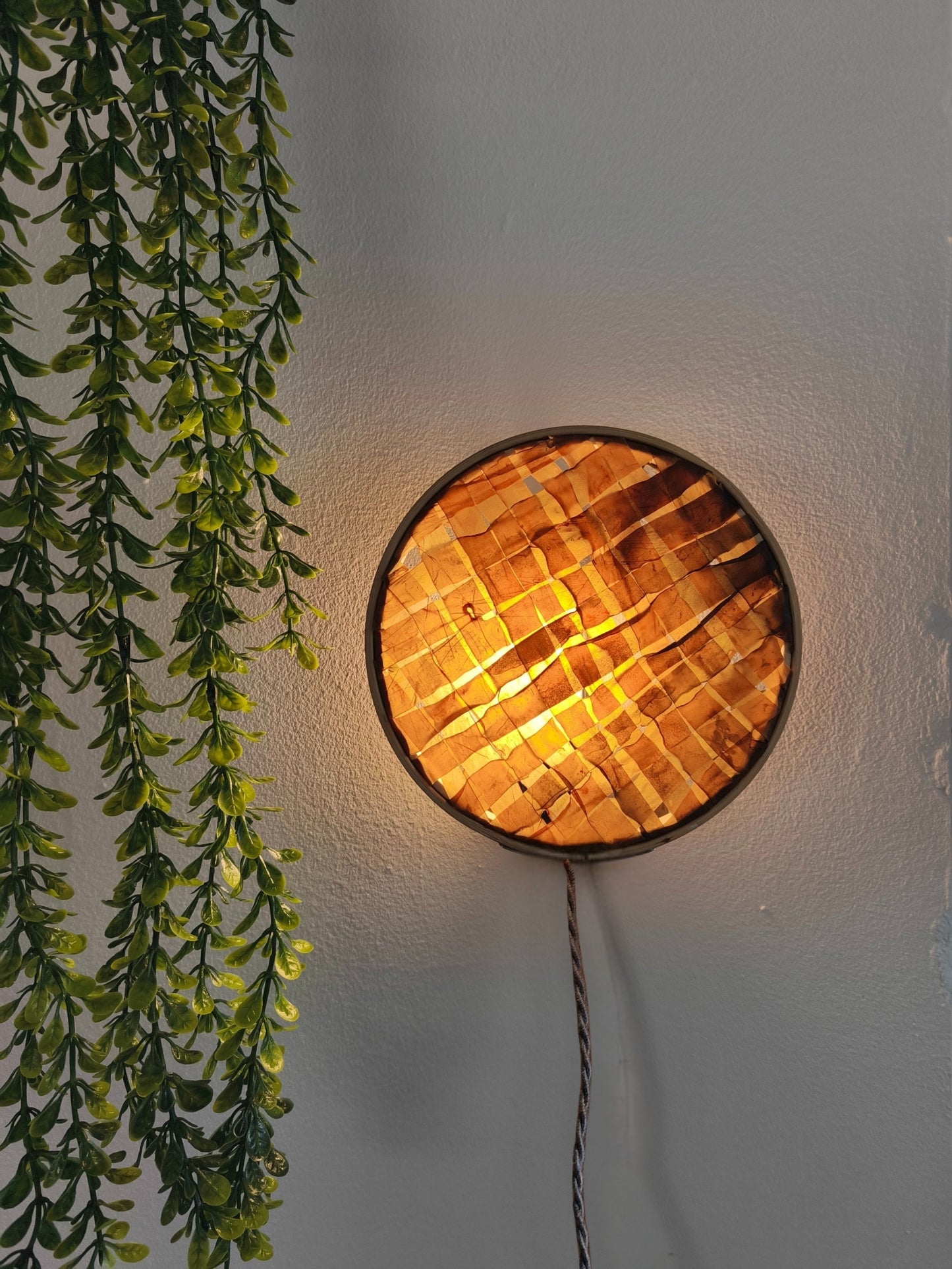 The Saccorhiza Lamp